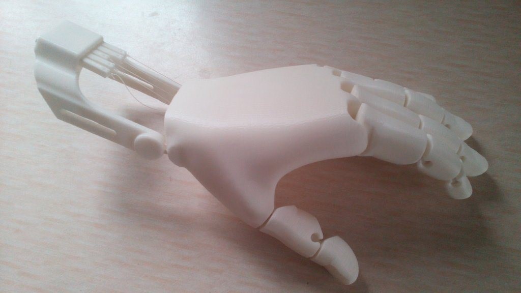 Image, it shows a 3D printed prosthesis with the appearance of a real human hand in white.