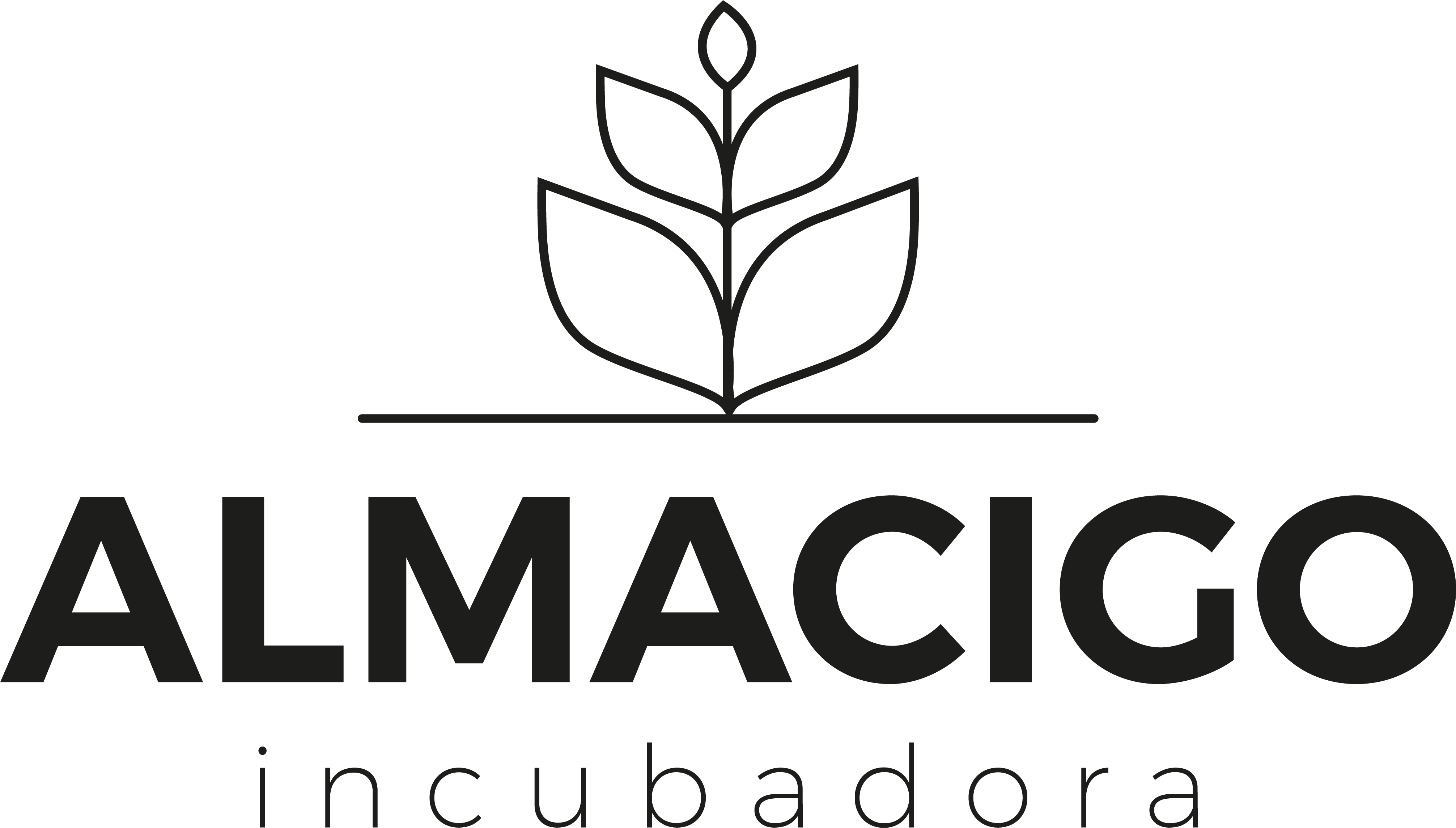 Logotipo de Almacigo. Las letras de “Almacigo incubadora”
                    en color negro.